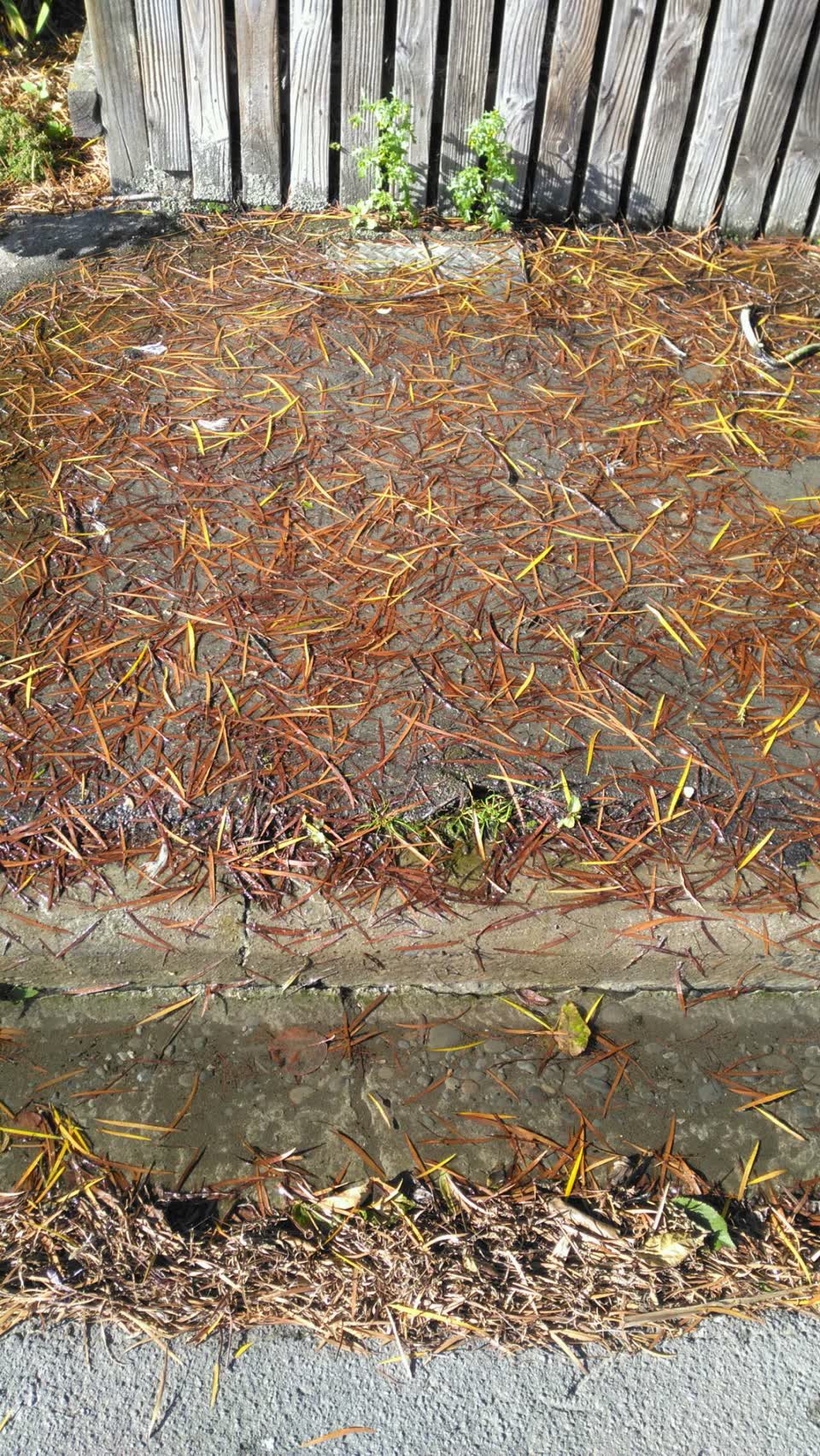 The photograph attached to this water supply report