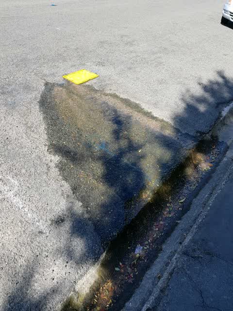 Water Supply, a report photo