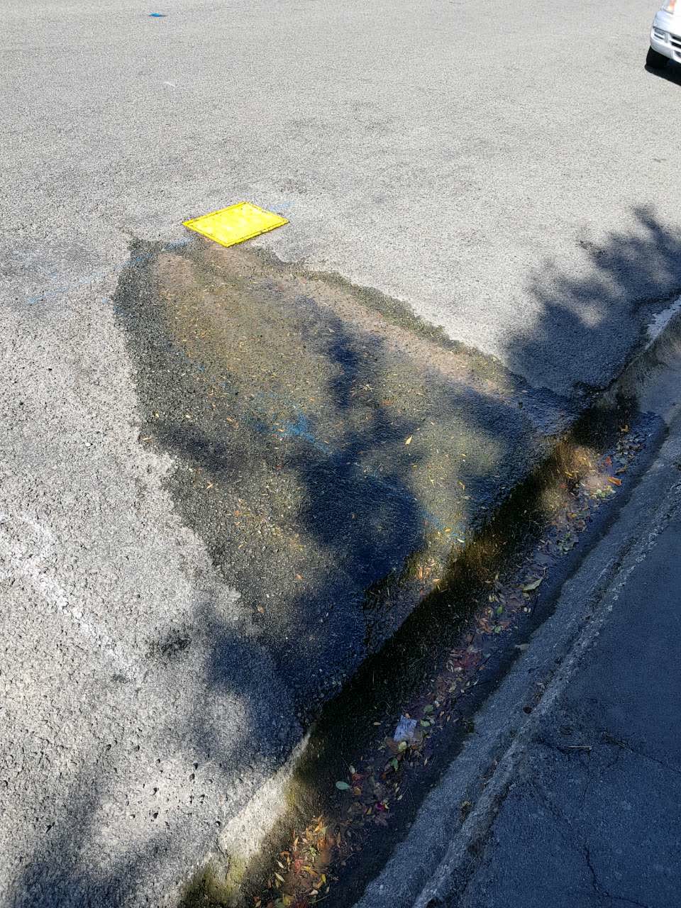 The photograph attached to this water supply report
