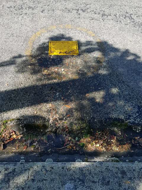 Water Supply, a report photo