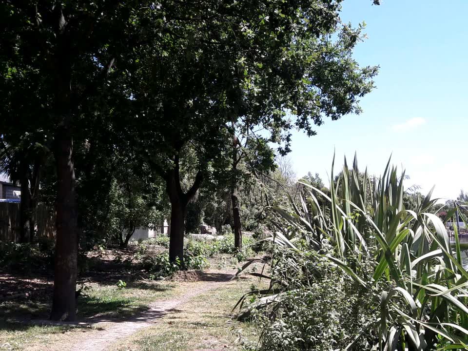 The photograph attached to this parks report