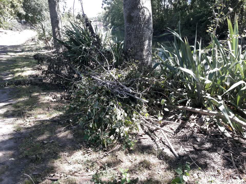 The photograph attached to this parks report