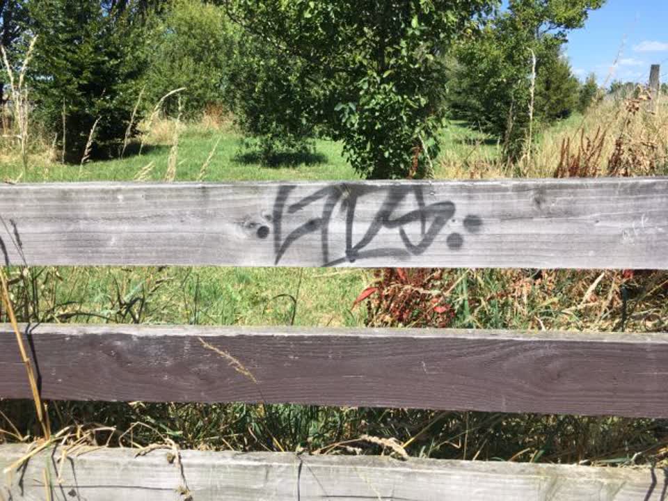 The photograph attached to this graffiti report