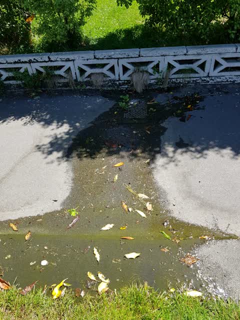 Water Supply, a report photo