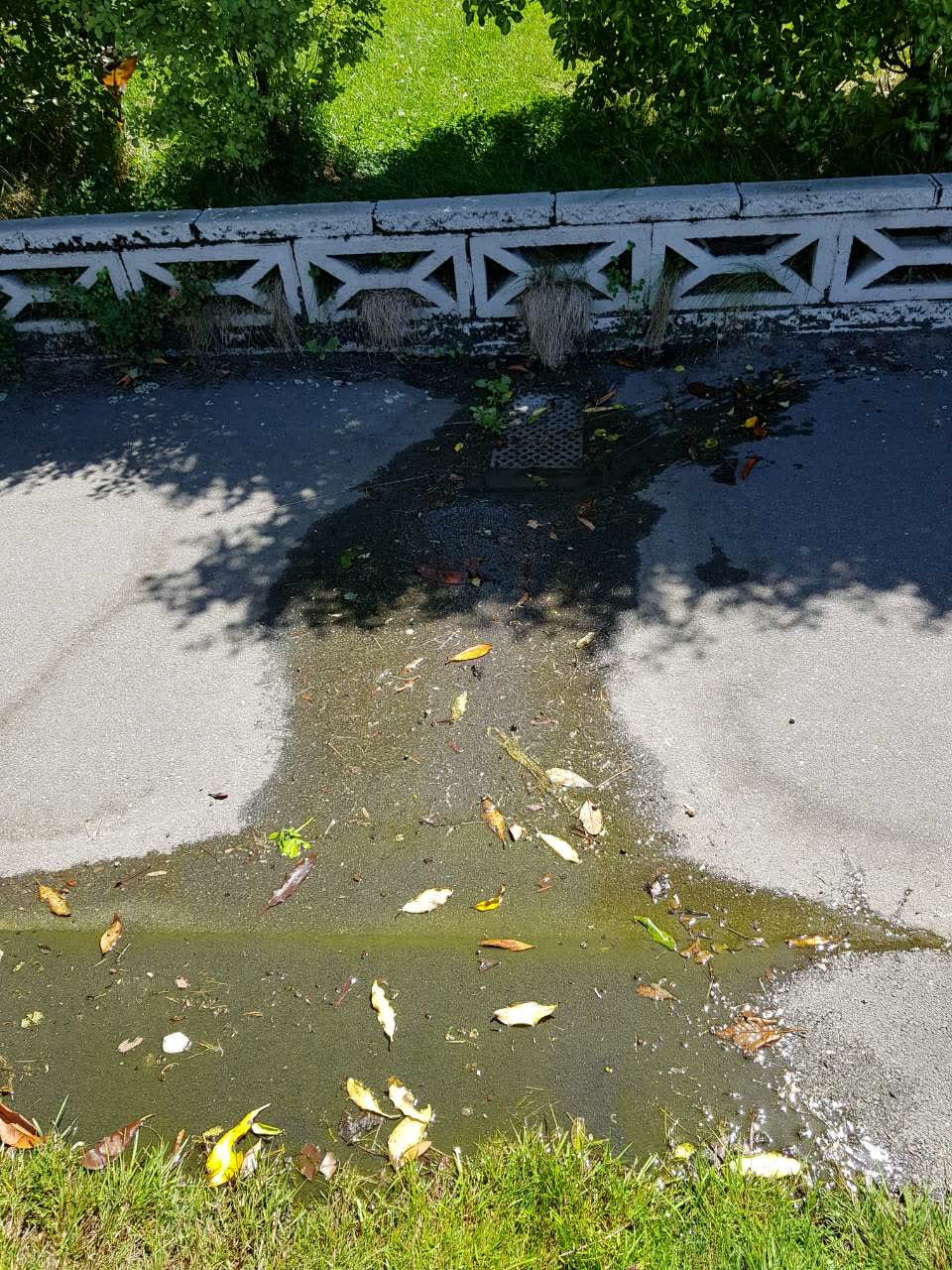 The photograph attached to this water supply report