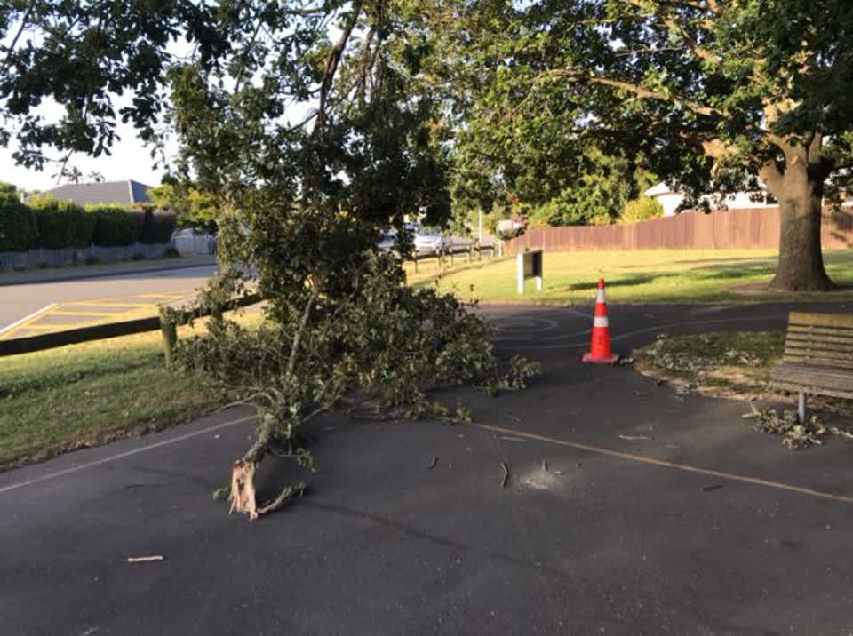 The photograph attached to this parks report