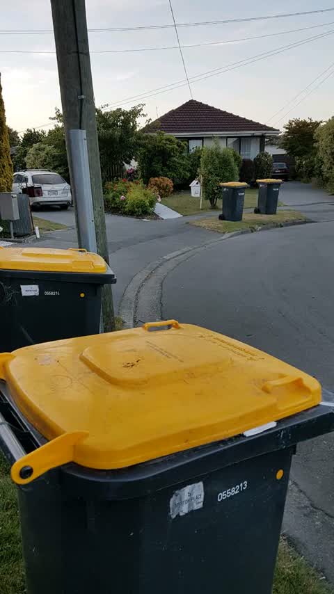Rubbish/Recycling, a report photo