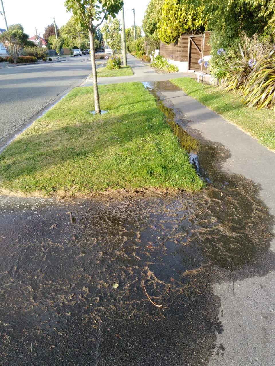 The photograph attached to this water supply report