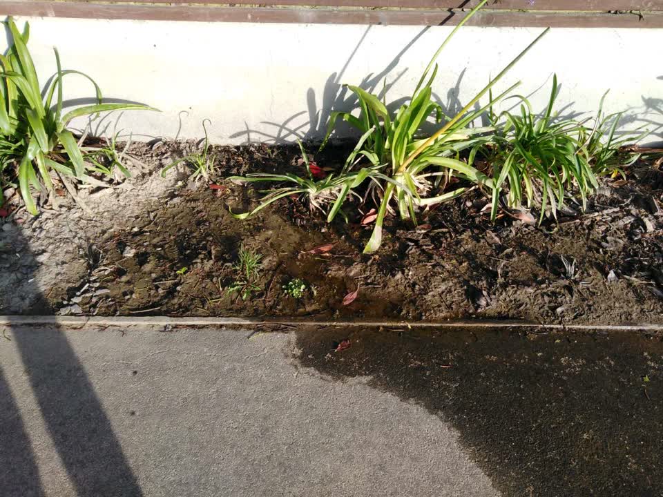 The photograph attached to this water supply report