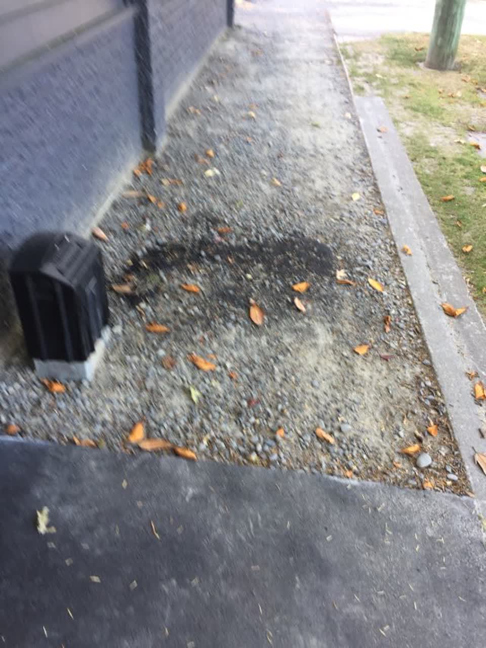 The photograph attached to this roading/streets report