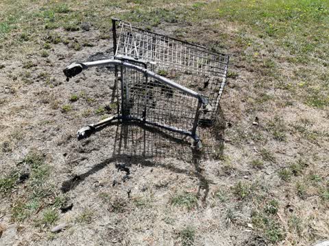 Parks, a report photo