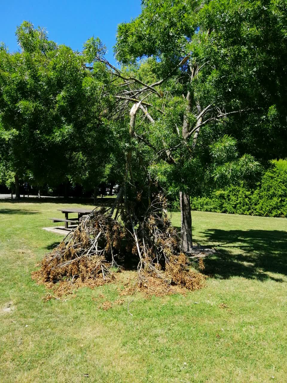 The photograph attached to this parks report