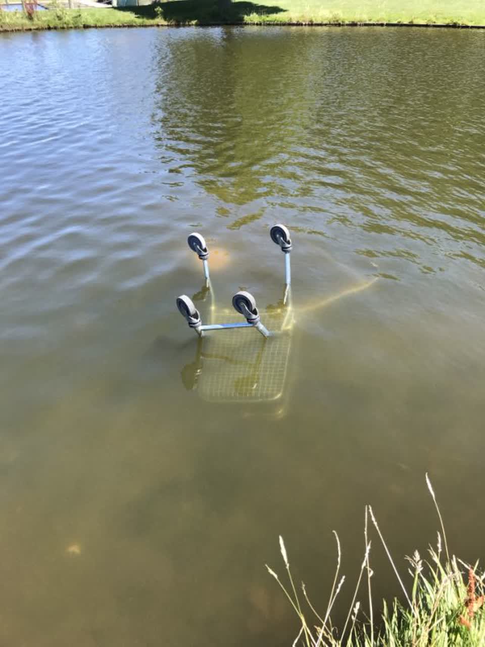 The photograph attached to this parks report