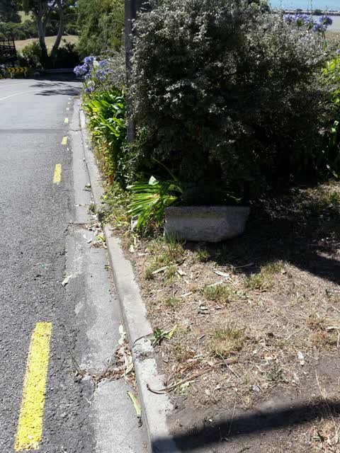 Roading/Streets, a report photo