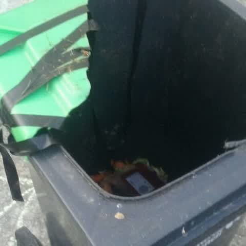 Rubbish/Recycling, a report photo
