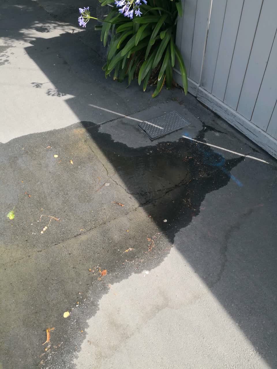 The photograph attached to this water supply report