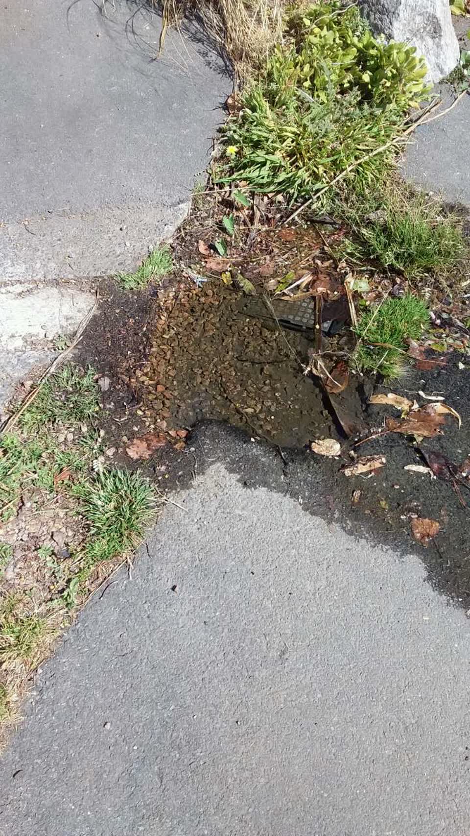 The photograph attached to this water supply report
