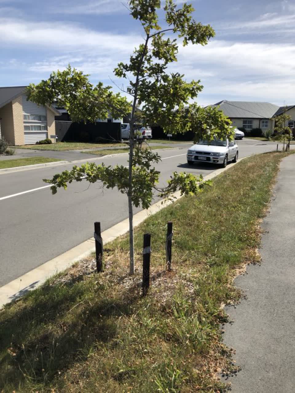 The photograph attached to this parks report