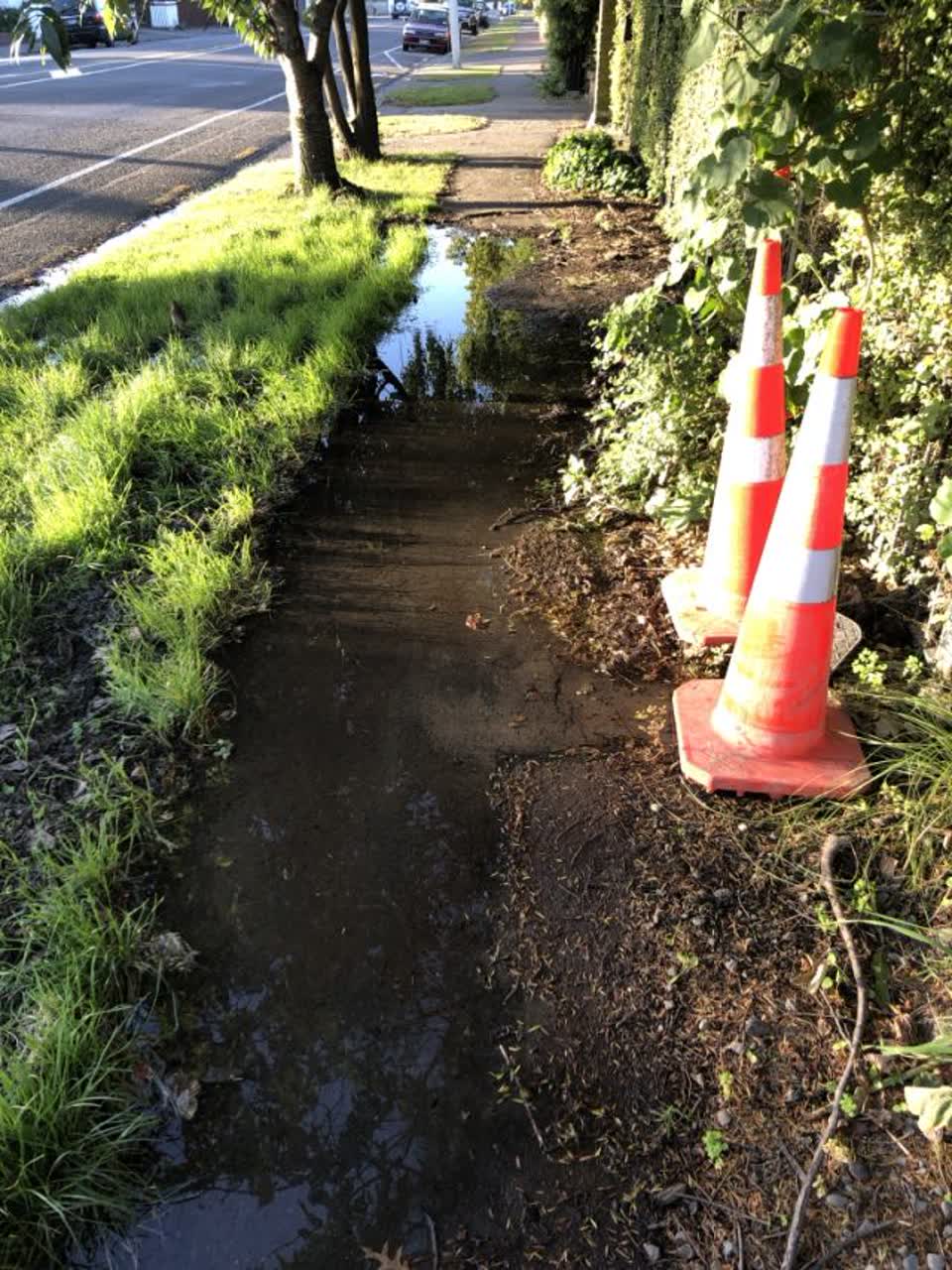 The photograph attached to this water supply report