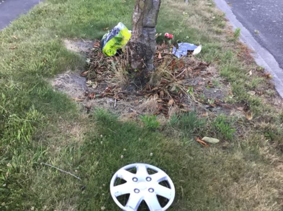 The photograph attached to this rubbish/recycling report
