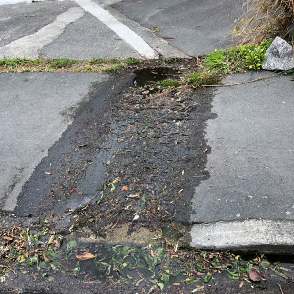 The photograph attached to this water supply report