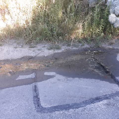 Water Supply, a report photo