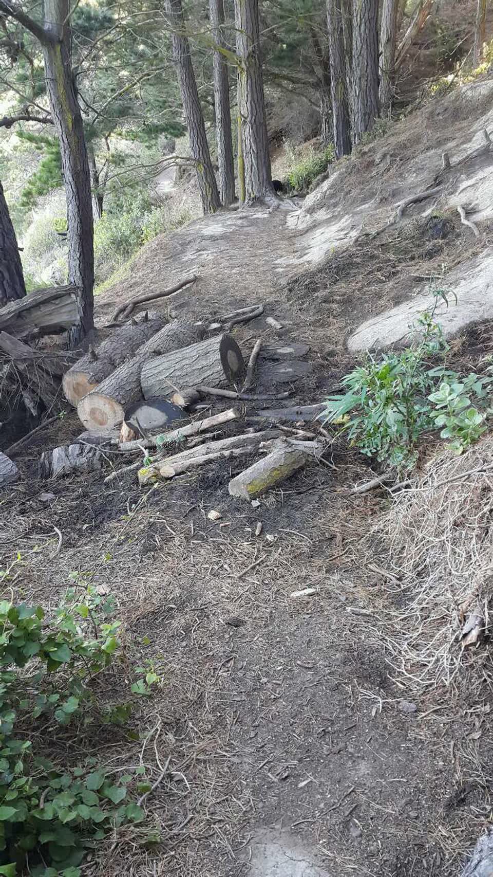 The photograph attached to this parks report