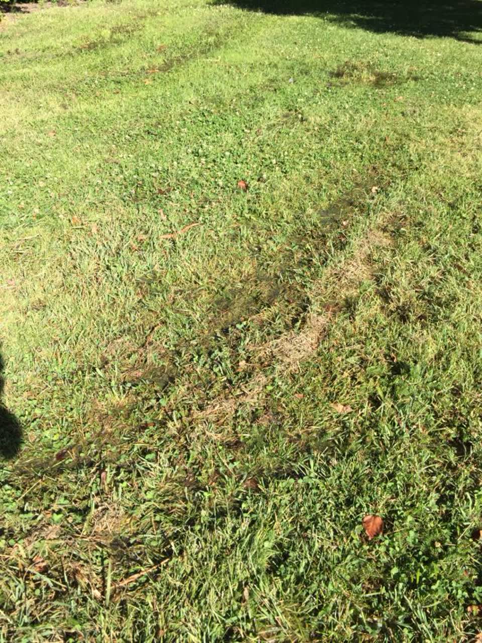 The photograph attached to this water supply report