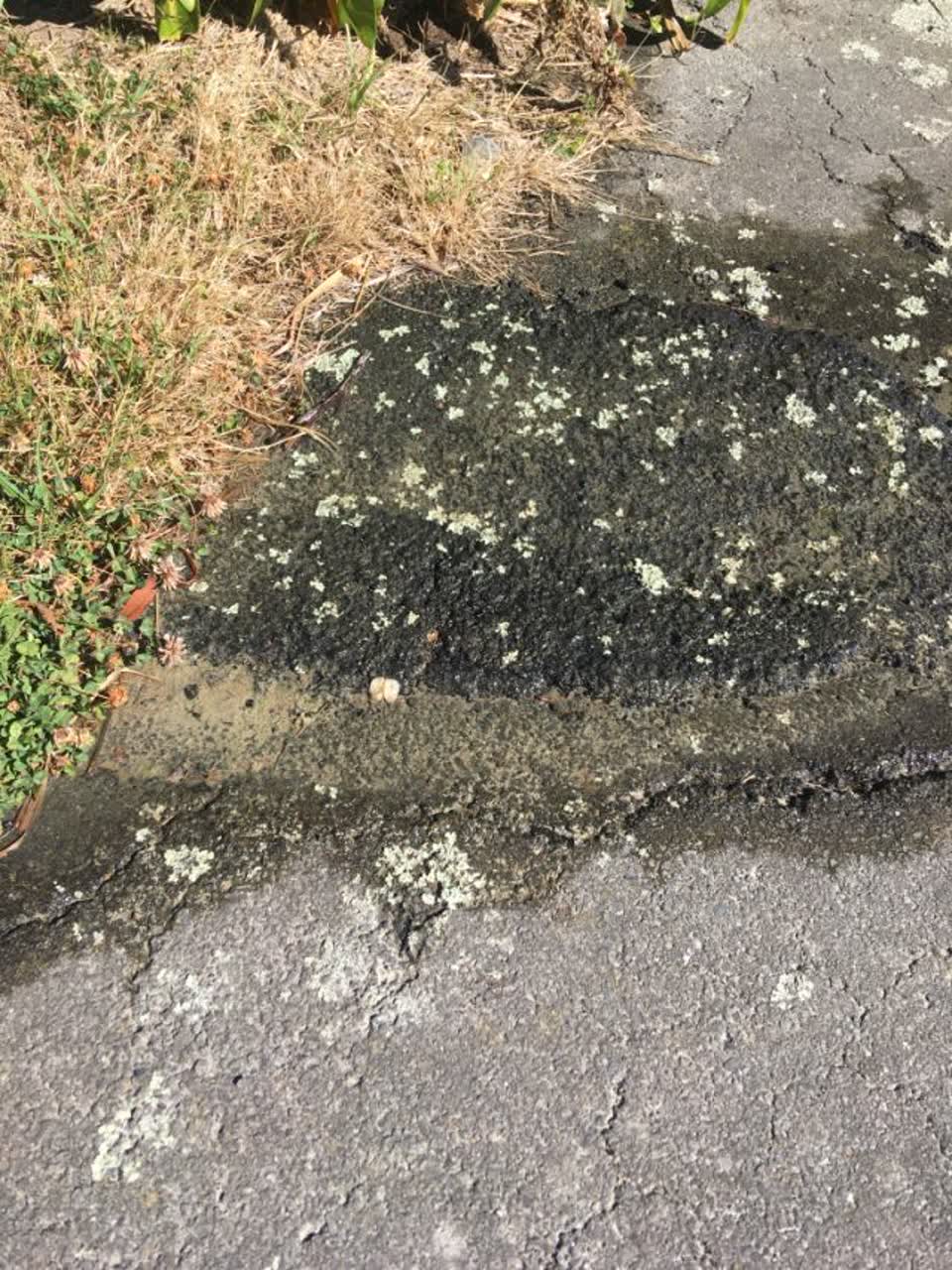 The photograph attached to this wastewater/stormwater report