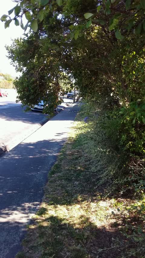 Roading/Streets, a report photo