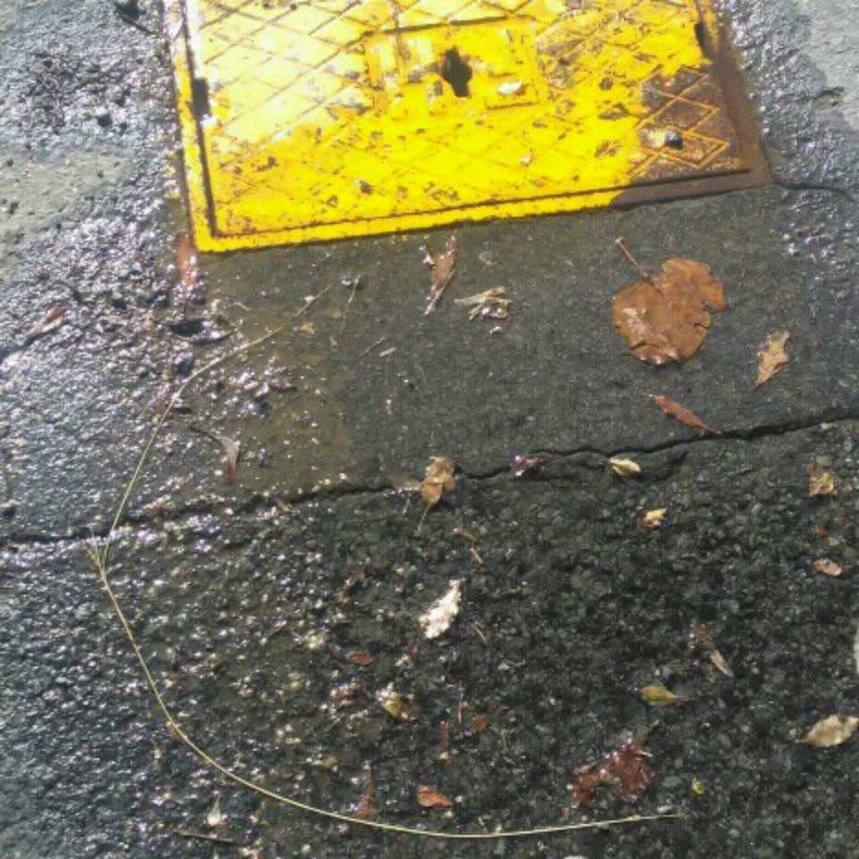 The photograph attached to this water supply report