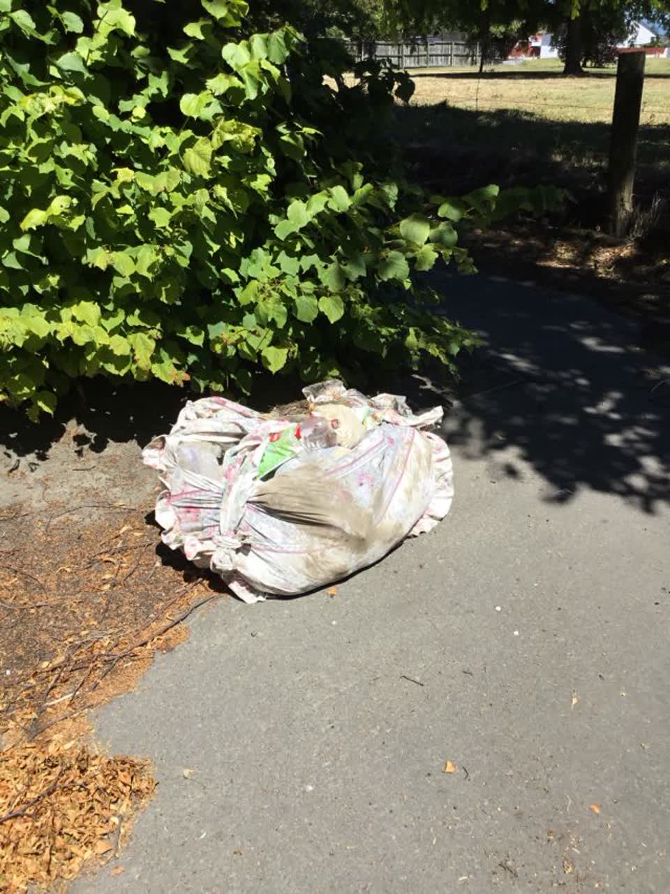 The photograph attached to this rubbish/recycling report