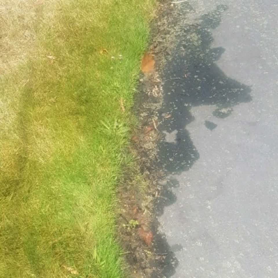 The photograph attached to this water supply report