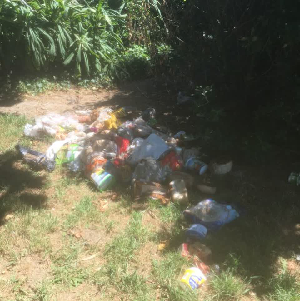 The photograph attached to this parks report