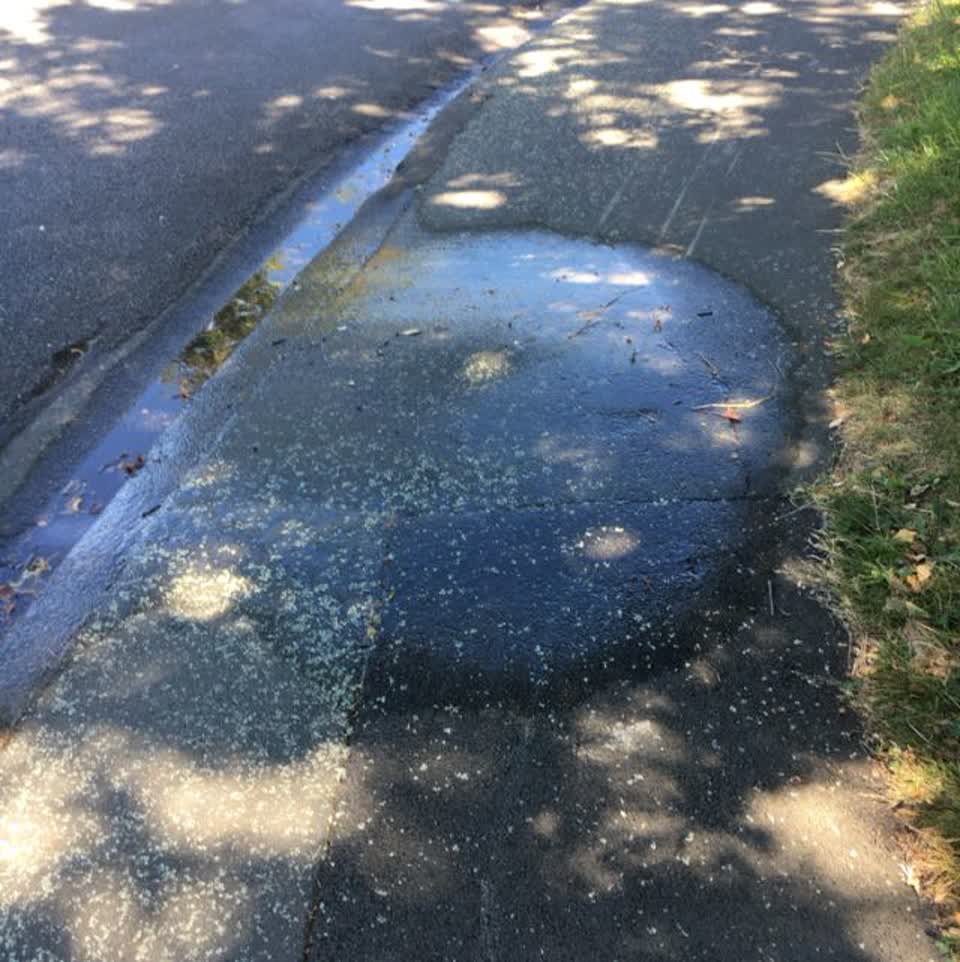 The photograph attached to this water supply report
