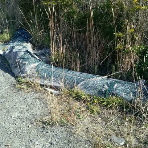 Rubbish/Recycling, a report photo