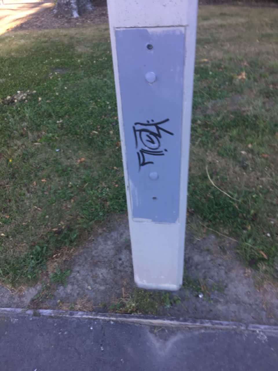 The photograph attached to this graffiti report