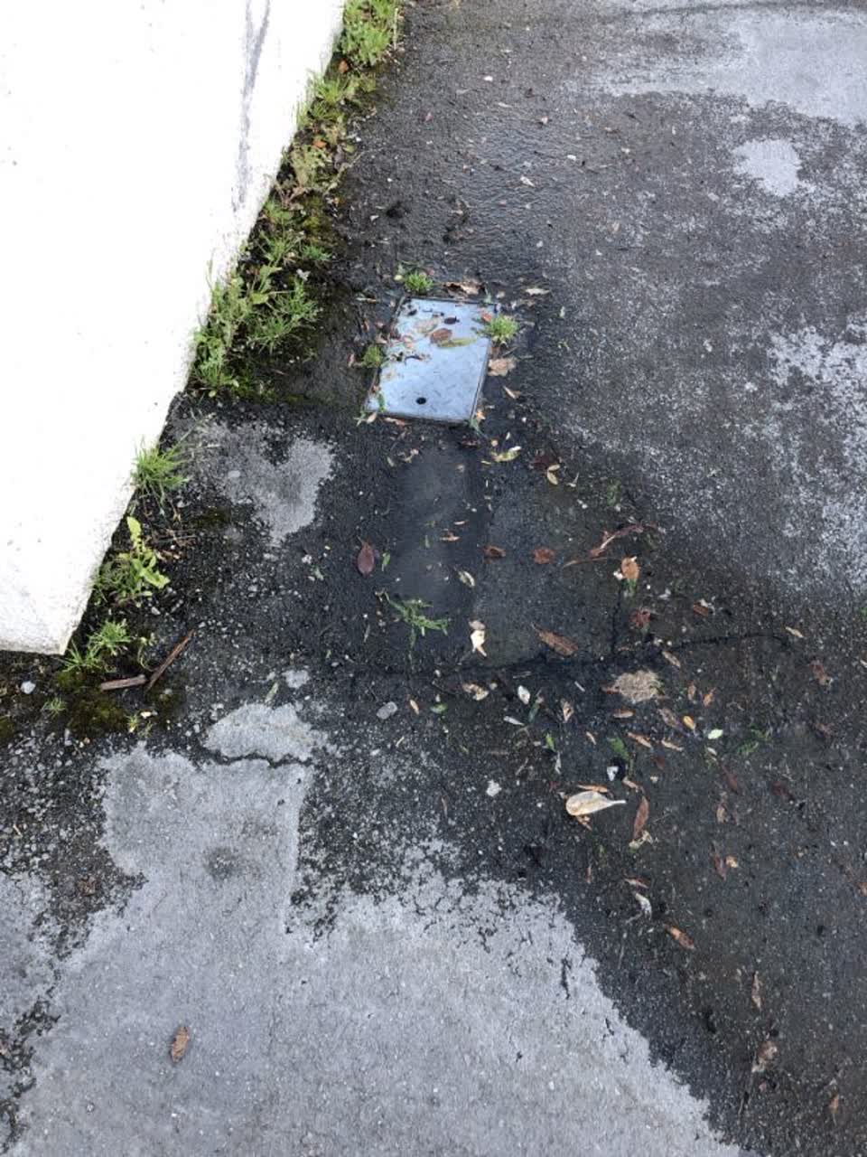 The photograph attached to this water supply report