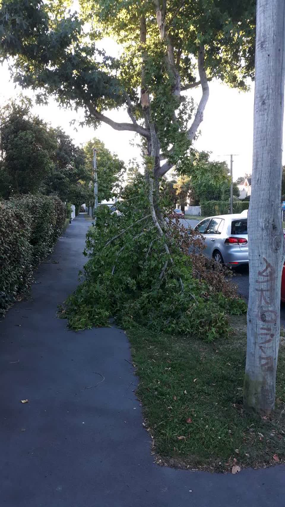 The photograph attached to this roading/streets report