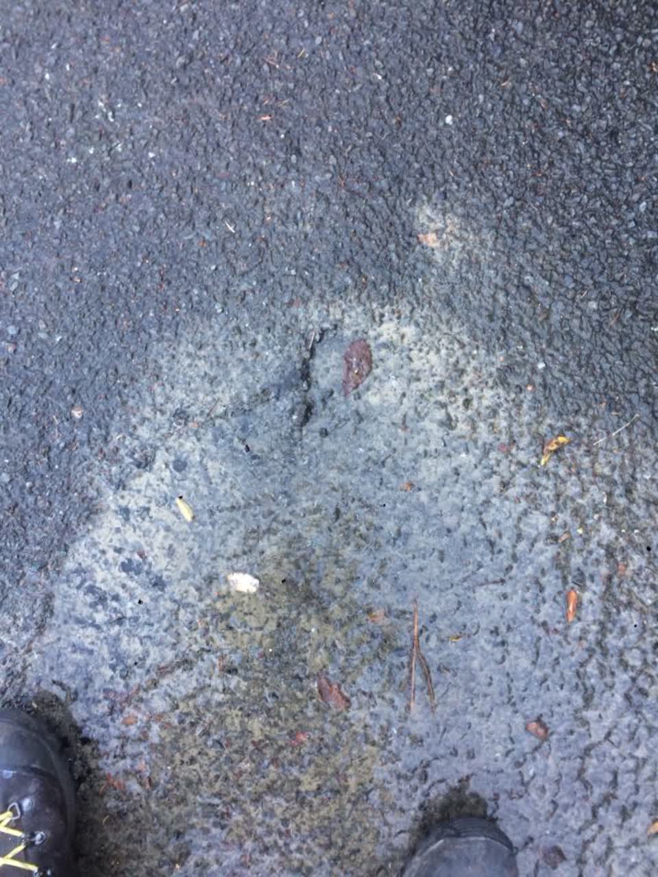 The photograph attached to this roading/streets report