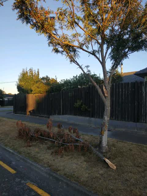 Roading/Streets, a report photo