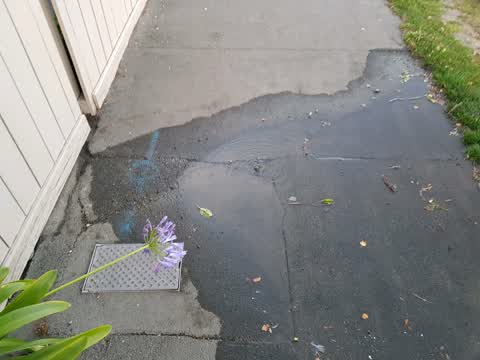 Water Supply, a report photo