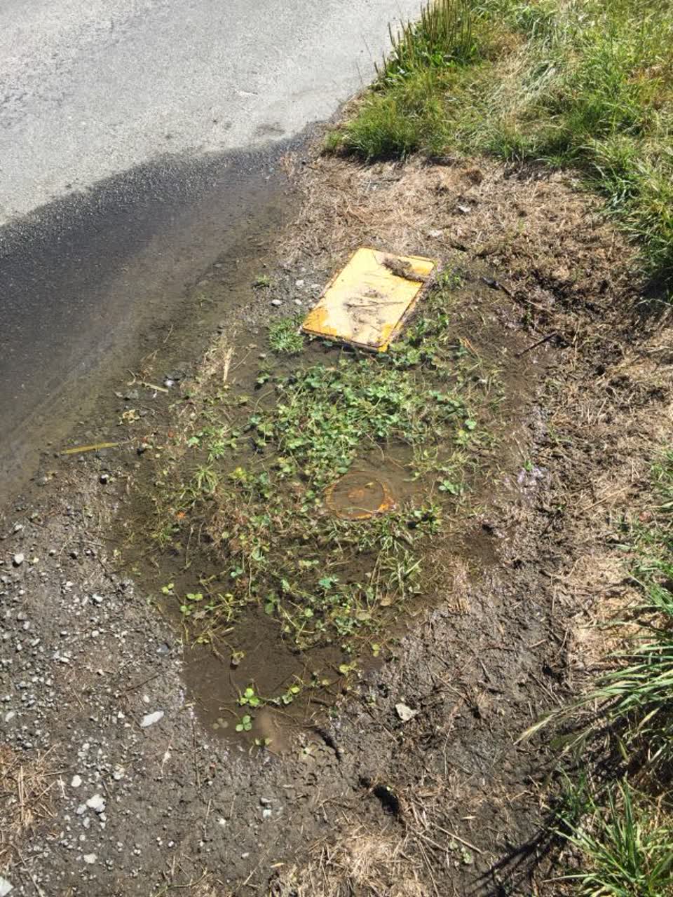 The photograph attached to this water supply report