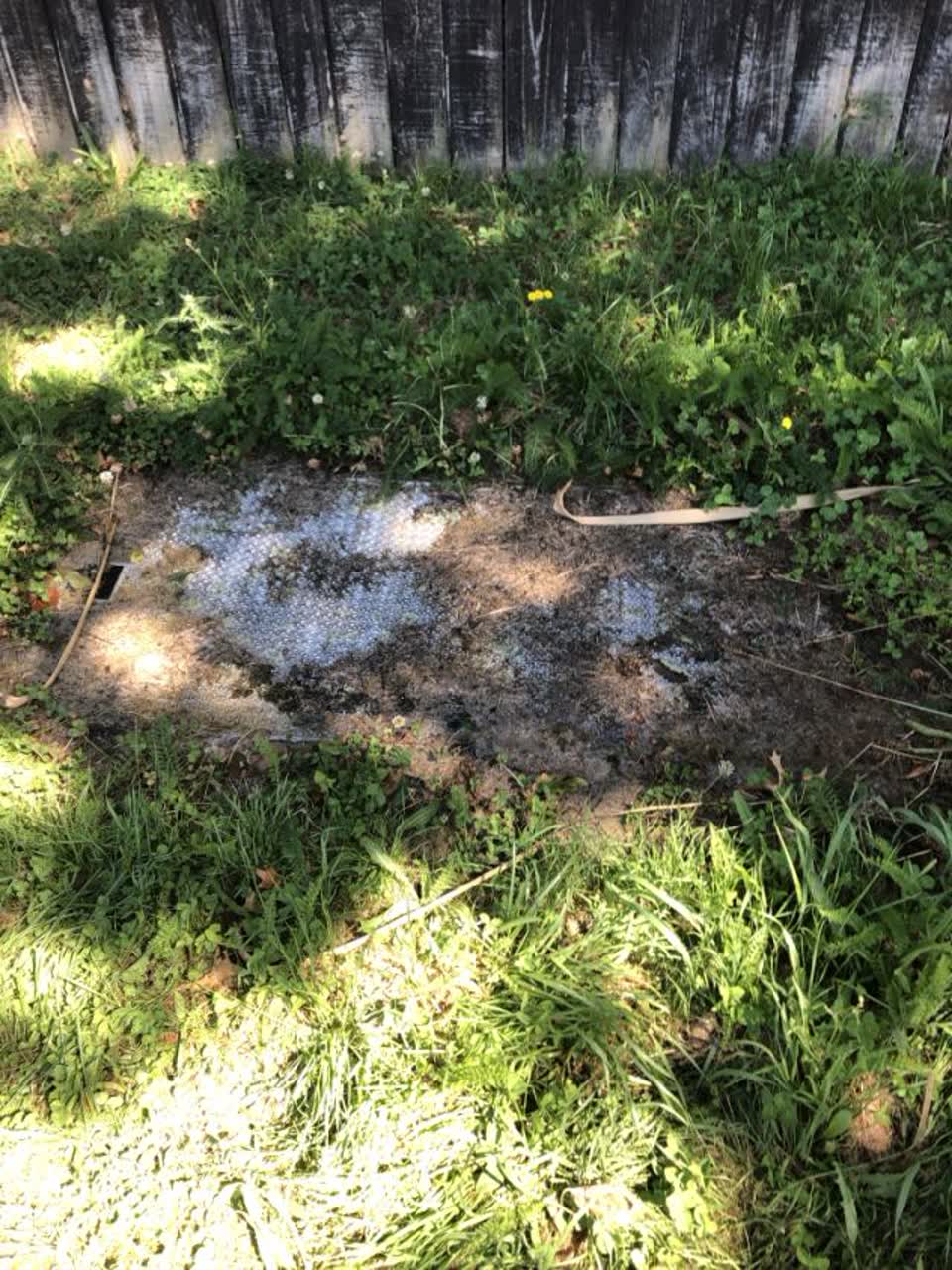 The photograph attached to this water supply report