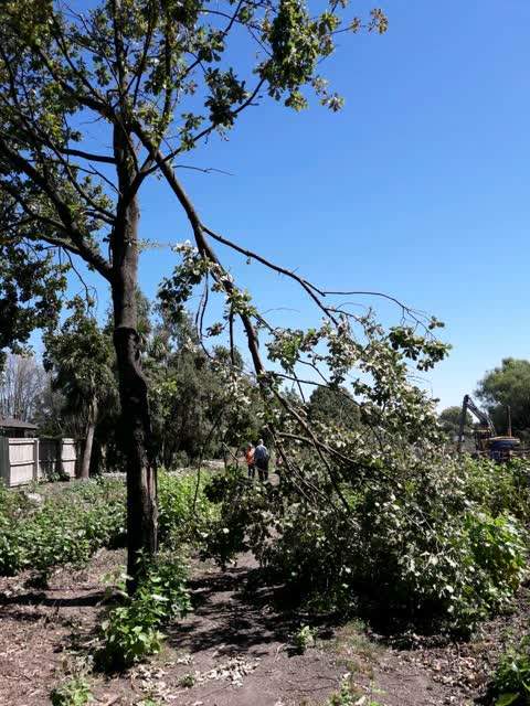 Parks, a report photo