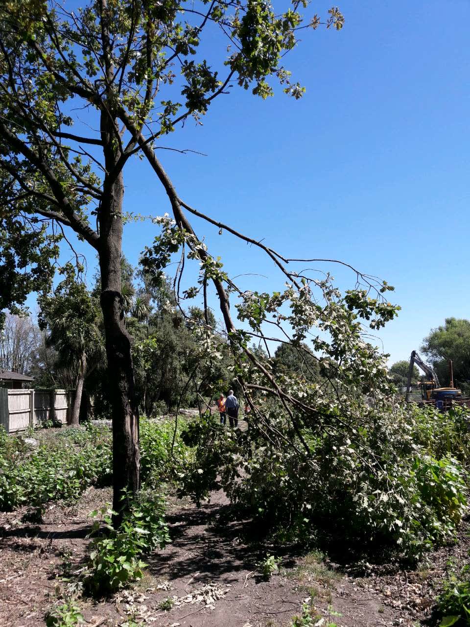 The photograph attached to this parks report