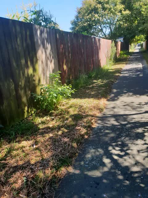 Roading/Streets, a report photo