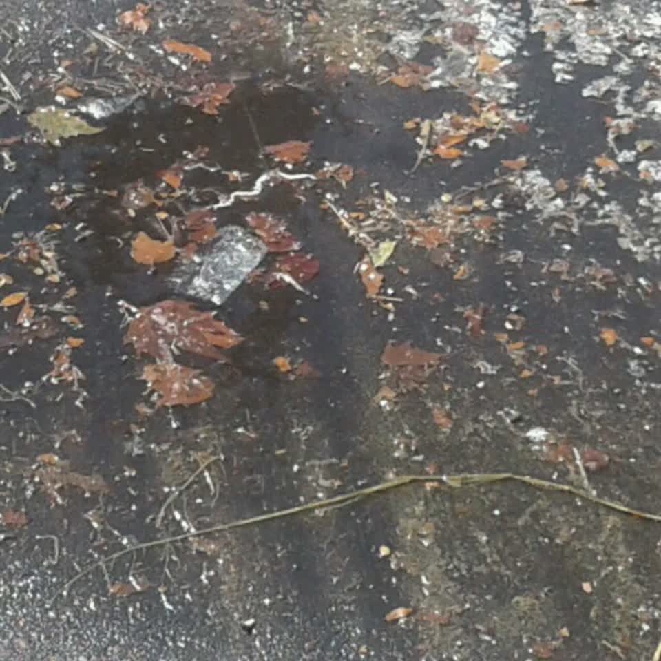 The photograph attached to this wastewater/stormwater report