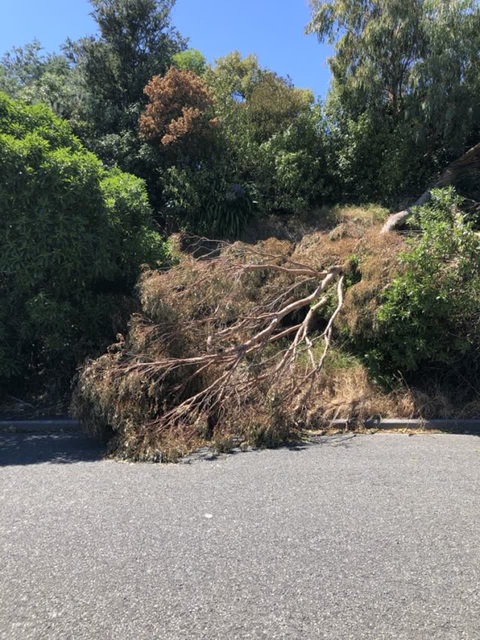 The photograph attached to this roading/streets report