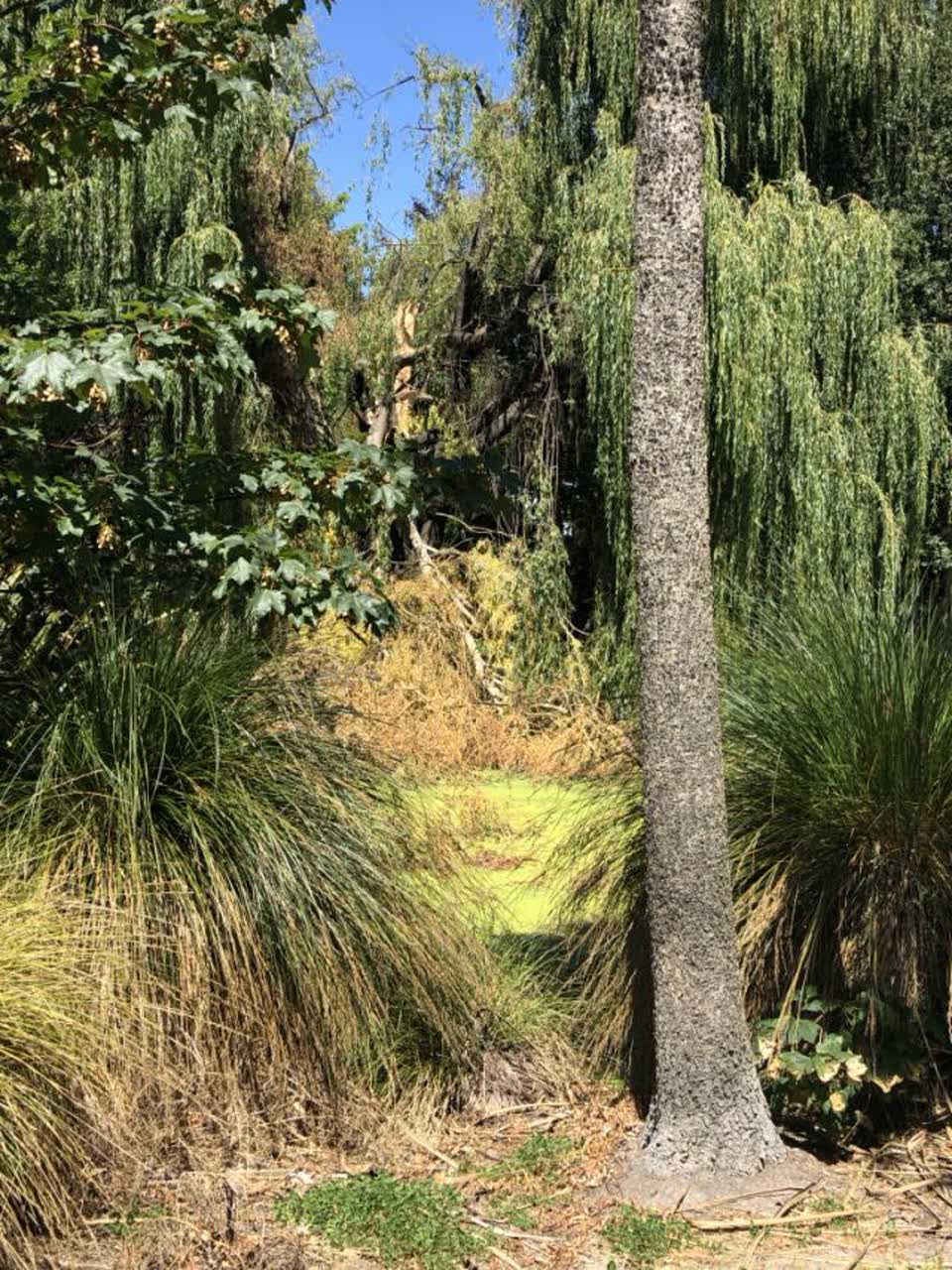 The photograph attached to this parks report